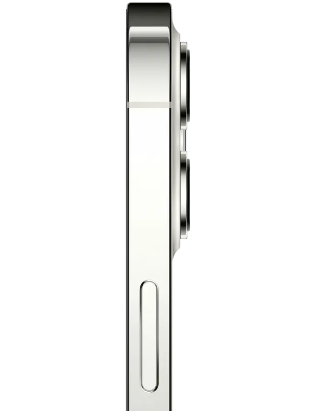 Apple iPhone 12 Pro 256 GB Silver