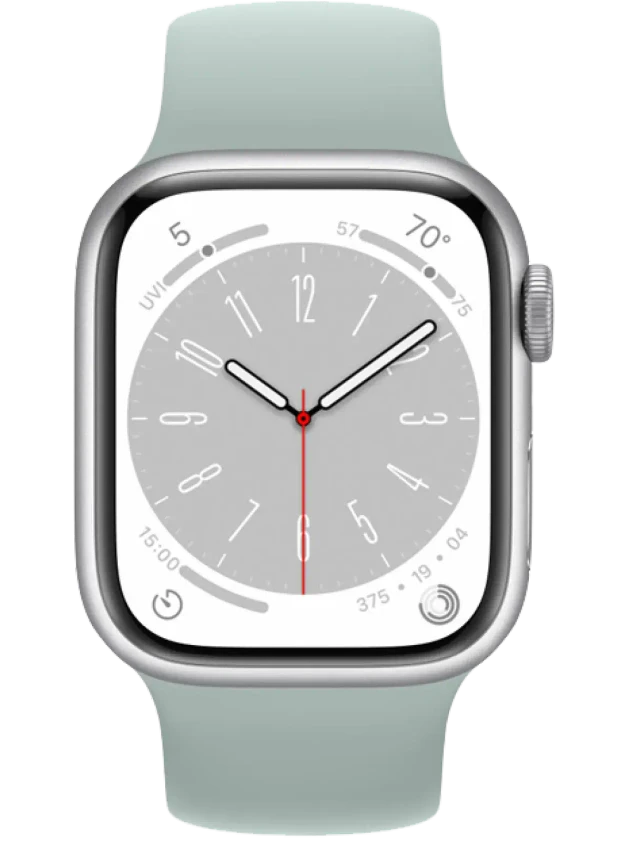 Apple Watch 8 41 мм Алюминий, Силикон, Серебристый, Суккулент