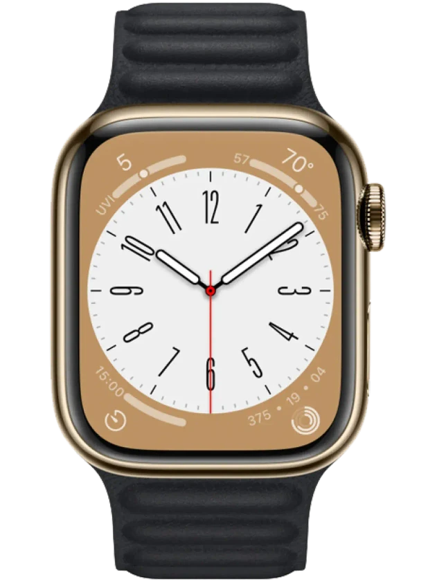 Apple Watch 8 41 мм Сталь, Кожа, Золотой, Тёмно-серый