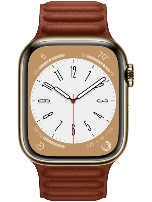 Apple Watch 8 45 мм Сталь, Кожа, Золотой, Тёмно-коричневый